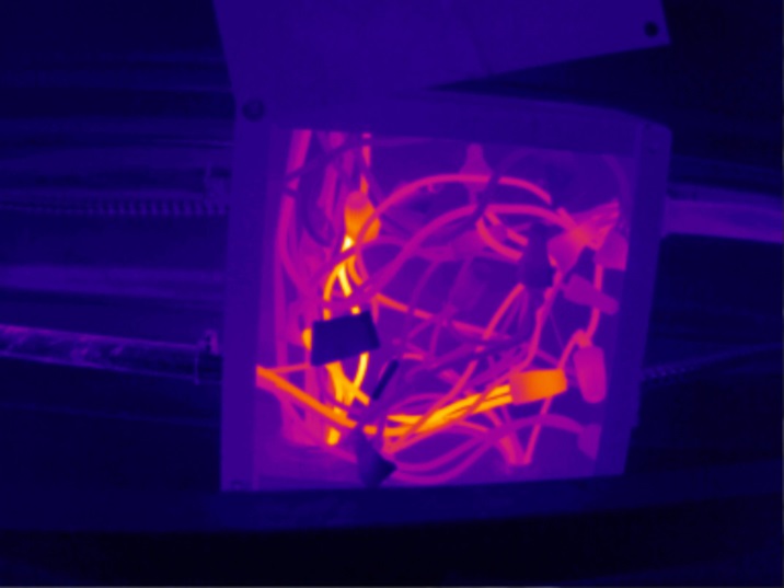 Infrared pic 5